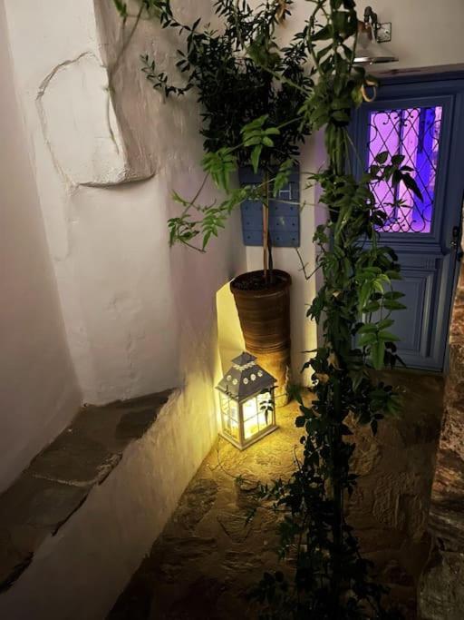 Lemonstello Kythnos * Dhriopis