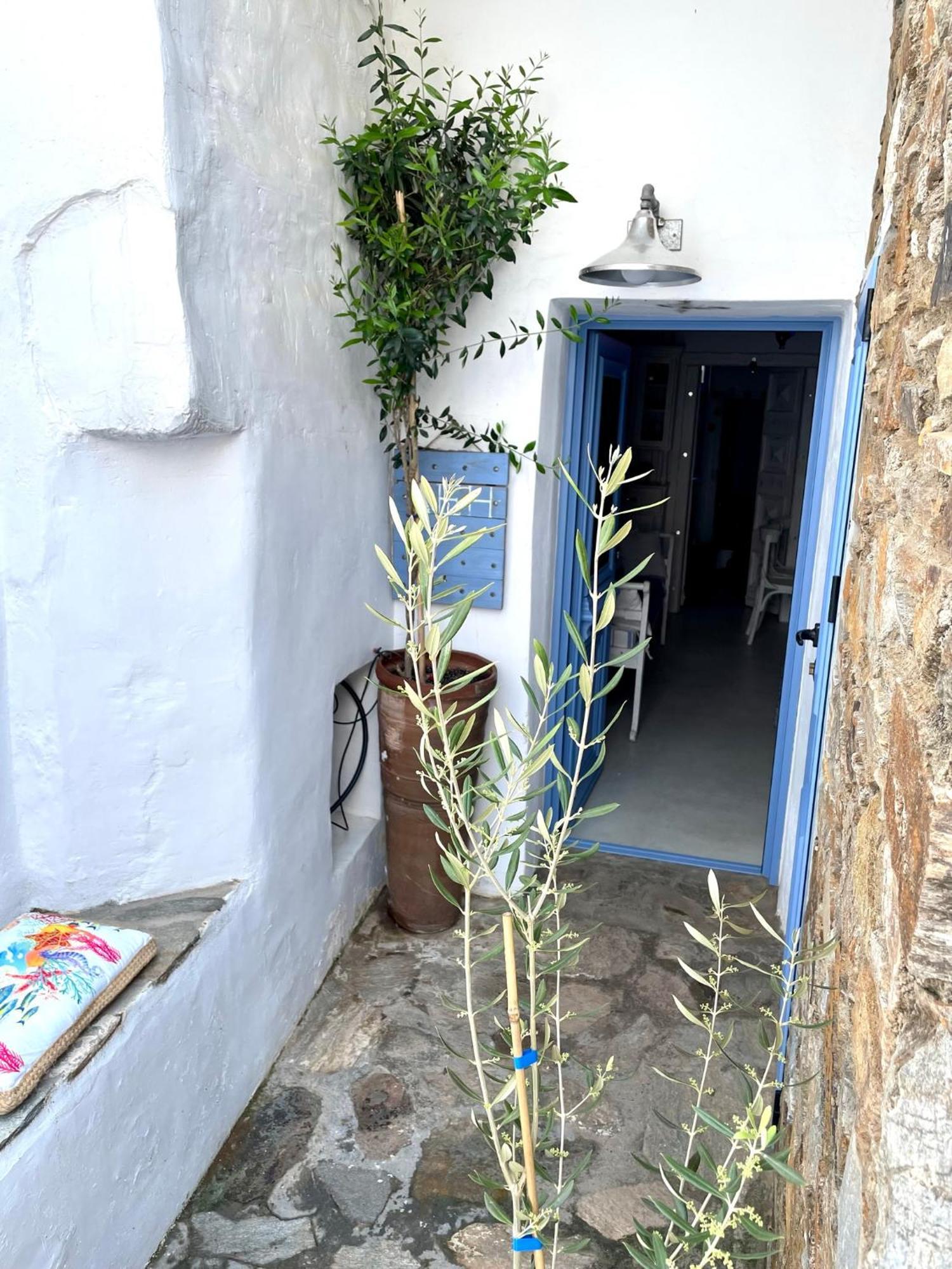 Lemonstello Kythnos * Dhriopis
